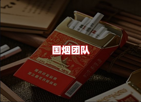 国烟团队